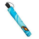 Hummingbird Collapsible Umbrella by Francis Dick, Kwakwaka'wakw