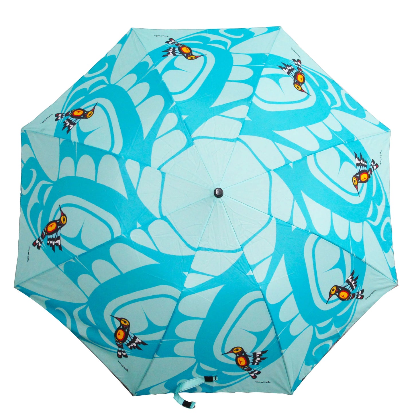 Hummingbird Collapsible Umbrella by Francis Dick, Kwakwaka'wakw