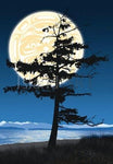 Medicine Grounds Aluminum Art Print by Andy Everson, K’ómoks